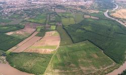 Diyarbakır’daki yağış çiftçilerin yüzünü güldürdü!