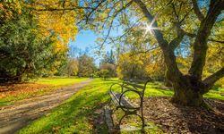 Dünyanın en güzel şehir parkları