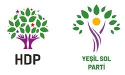 Diyarbakır’da Yeşil Sol Parti’ye kaç kişi başvurdu?