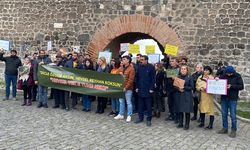 Hevsel Bahçeleri ve Dicle Nehri’nde ekolojik kırım!