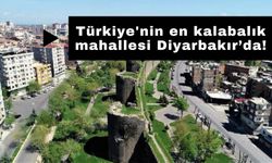 Türkiye'nin en kalabalık mahallesi Diyarbakır’da!