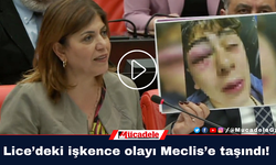 Lice’deki işkence olayı Meclis’e taşındı!