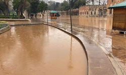 Şanlıurfa'daki selden sonra Balıklıgöl'ün son hali