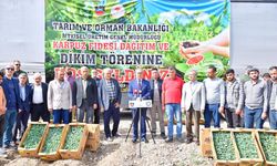 Diyarbakır’da 115 bin karpuz fidesi dağıtıldı