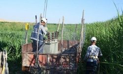 Dicle Elektrik borcu olan çiftçilerin elektriğini kesecek!