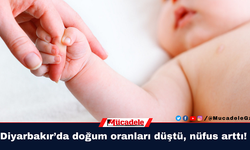 Diyarbakır’da doğum oranları düştü, nüfus arttı!