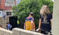 Diyarbakır’da eşini öldüren zanlı tutuklandı