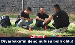 Diyarbakır’ın genç nüfusu belli oldu!