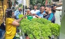 Diyarbakır’da fesleğen dağıtıldı