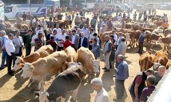 Diyarbakır’da kurban kesim ve satış yerleri belli oldu