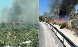 Bodrum'da çıkan yangın rüzgarın etkisiyle büyüyor