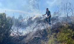 Deprem bölgesinde orman yangını, büyümeden söndürüldü