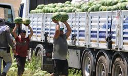 Sıcaklıklar Diyarbakır Karpuzunu da vurdu: Tezgahta yok!