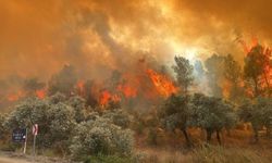 Muğla’da otluk alanda çıkan yangın ormana sıçradı!