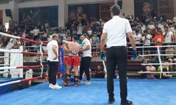 Türkiye Kick Boks Şampiyonası Mardin’de başladı