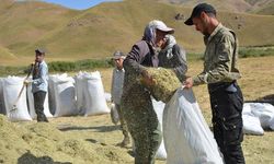 Besicilerin zorlu kış hazırlıkları devam ediyor