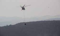 Çanakkale'deki orman yangını kontrol altında