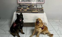 Diyarbakır’da 4 bin 150 karton kaçak sigara ele geçirildi