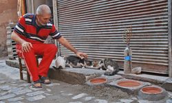 Diyarbakır’da ömrünü sokak kedilerine adadı