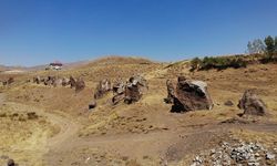 Asırlık 'Nemrut Develeri' bir bir yok oluyor