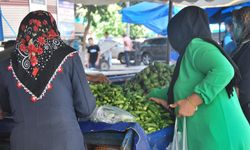 Diyarbakır’da turşuluklar el yakıyor!