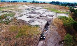 Höyük kazılarında 3 bin 700 yıllık insan beyni bulundu