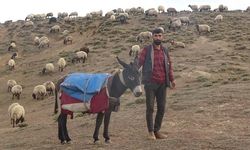 Muş'tan Diyarbakır’a mevsimsel göç