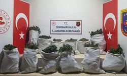 Diyarbakır Lice’de 240 kilo esrar ele geçirildi