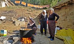 Diyarbakır’da bağ bozumu başladı: Rekolte iyi değil