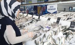 Diyarbakır’da balık satış yerleri denetlendi