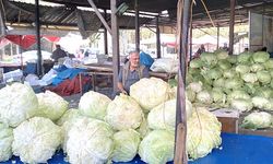 Muş lahanaları Diyarbakır'da tezgahlarda: İşte fiyatları