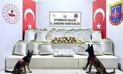 Lice’de 637 kilo esrar ele geçirildi