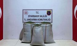 Lice’de 97 kilo esrar ele geçirildi