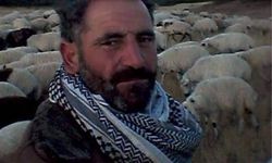 Diyarbakır'da yıldırım çarpan çoban hayatını kaybetti