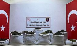 Diyarbakır'da uyuşturucu ele geçirildi: 1 gözaltı