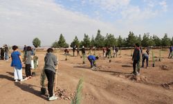 Diyarbakır’da 'Milli Ağaçlandırma Günü': Fidanlar dikiliyor