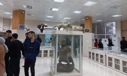 Diyarbakır’da öğretmen adayları Zooloji Müzesi’ni gezdi