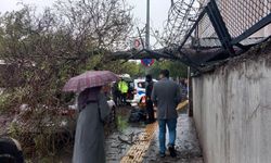 Diyarbakır’da otomobilin üzerine ağaç devrildi