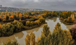 Diyarbakır'ın gözbebeği rengarek