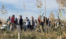 Urfa’da tarım arazisinde yapı gerginliği: 2 gözaltı