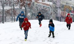 Diyarbakır’ın komşusunda kar! Eğitime ara verildi