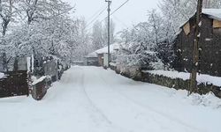 Diyarbakır’ın komşu ilçesinde kar: Köy yolları ulaşıma kapandı