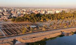 Diyarbakır’da çiftçilere dağıtıldı