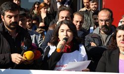 Diyarbakır'da eylem: TTB'nin yanındayız