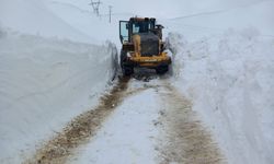 Bitlis Hizan’da yollar tek tek açılıyor