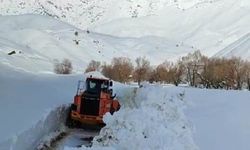 Hakkari Şemdinli’de ulaşıma kapanmıştı! Şimdi açılıyor