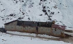 Bitlis’te ahır yangını, 180 hayvan öldü