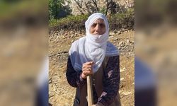 Diyarbakır’da 83 yaşındaki kadın gözaltına alındı
