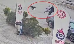 Diyarbakır’da bir sokak köpeği çocuğa saldırdı