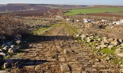 Diyarbakır'daki Roma Yolu nerede? İşte adresi